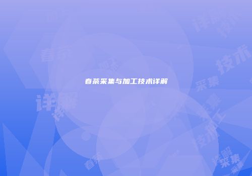 春茶采集与加工技术详解