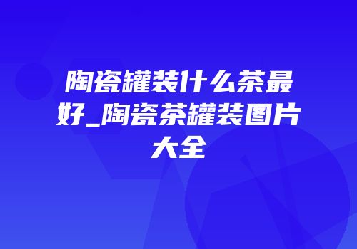 陶瓷罐装什么茶最好_陶瓷茶罐装图片大全
