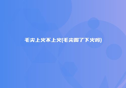 毛尖上火不上火(毛尖喝了下火吗)