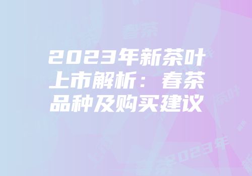 2023年新茶叶上市解析：春茶品种及购买建议