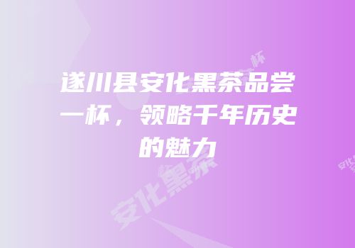 遂川县安化黑茶品尝一杯，领略千年历史的魅力
