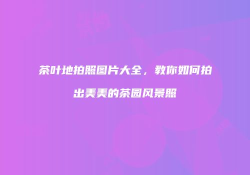 茶叶地拍照图片大全，教你如何拍出美美的茶园风景照