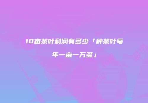 10亩茶叶利润有多少「种茶叶每年一亩一万多」