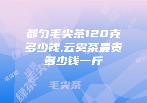 都匀毛尖茶120克多少钱,云雾茶最贵多少钱一斤