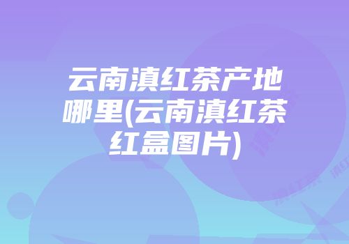 云南滇红茶产地哪里(云南滇红茶红盒图片)