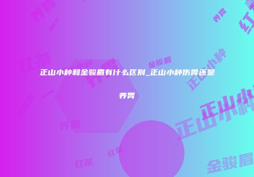 正山小种和金骏眉有什么区别_正山小种伤胃还是养胃