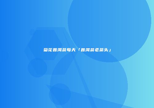 菊花普洱茶每天「普洱茶老茶头」
