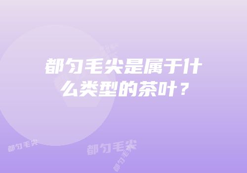 都匀毛尖是属于什么类型的茶叶？