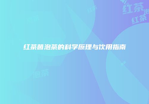 红茶菌泡茶的科学原理与饮用指南