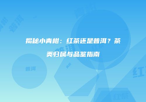 揭秘小青柑：红茶还是普洱？茶类归属与品鉴指南