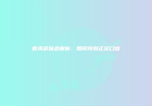 普洱茶味道解析：如何辨别正宗口感