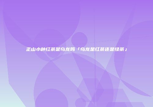 正山小种红茶是乌龙吗「乌龙是红茶还是绿茶」