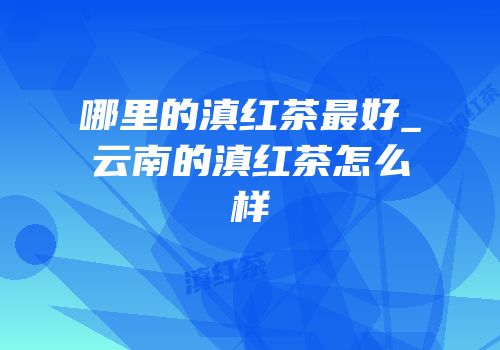 哪里的滇红茶最好_云南的滇红茶怎么样