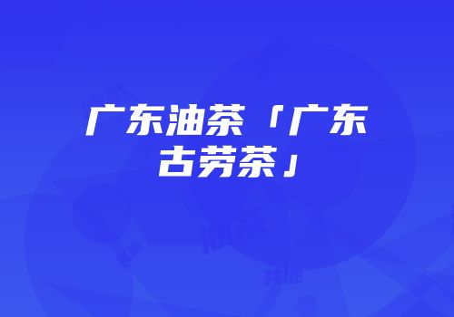 广东油茶「广东古劳茶」