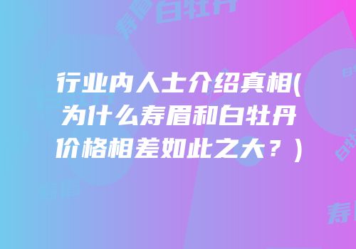 行业内人士介绍真相(为什么寿眉和白牡丹价格相差如此之大？)