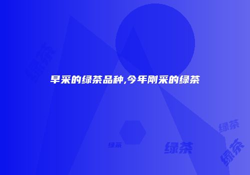 早采的绿茶品种,今年刚采的绿茶