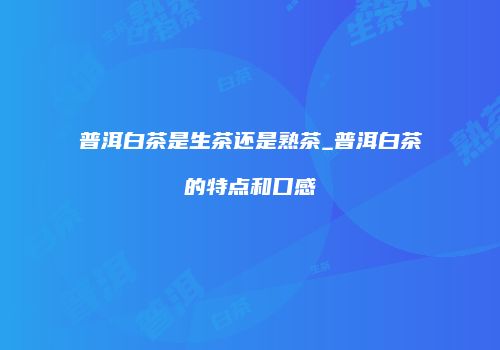 普洱白茶是生茶还是熟茶_普洱白茶的特点和口感