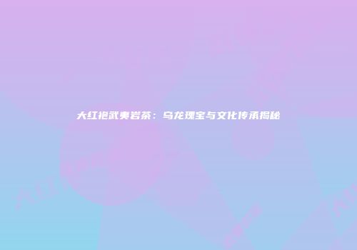 大红袍武夷岩茶：乌龙瑰宝与文化传承揭秘