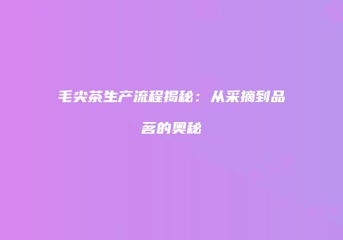 毛尖茶生产流程揭秘：从采摘到品茗的奥秘