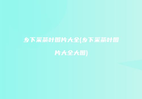 乡下采茶叶图片大全(乡下采茶叶图片大全大图)