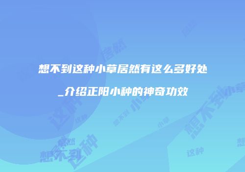 想不到这种小草居然有这么多好处_介绍正阳小种的神奇功效