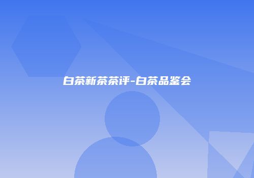白茶新茶茶评-白茶品鉴会