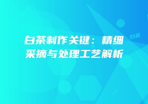 白茶制作关键：精细采摘与处理工艺解析