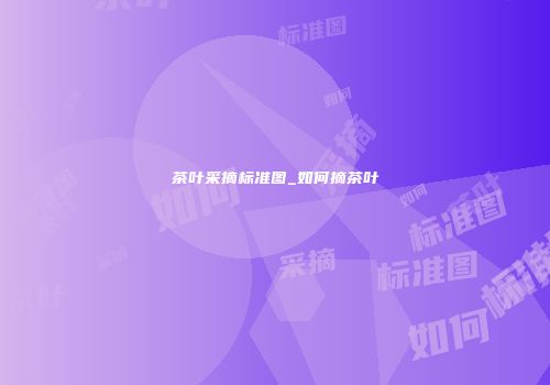 茶叶采摘标准图_如何摘茶叶