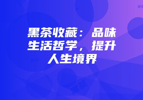 黑茶收藏：品味生活哲学，提升人生境界