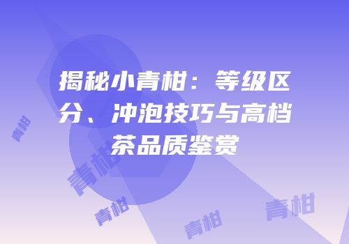 揭秘小青柑：等级区分、冲泡技巧与高档茶品质鉴赏