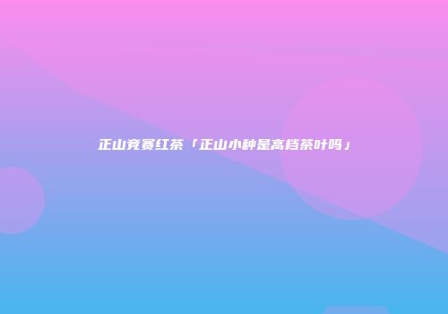 正山竞赛红茶「正山小种是高档茶叶吗」