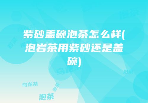 紫砂盖碗泡茶怎么样(泡岩茶用紫砂还是盖碗)