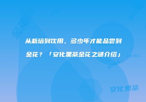 从栽培到饮用，多少年才能品尝到金花？「安化黑茶金花之谜介绍」