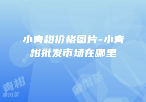 小青柑价格图片-小青柑批发市场在哪里