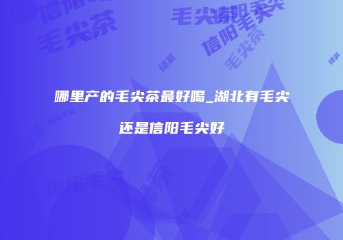 哪里产的毛尖茶最好喝_湖北有毛尖还是信阳毛尖好