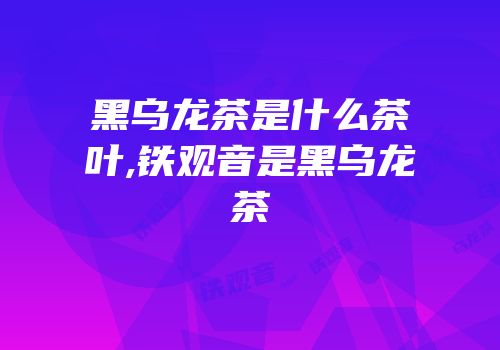 黑乌龙茶是什么茶叶,铁观音是黑乌龙茶