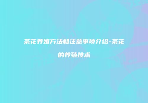 茶花养殖方法和注意事项介绍-茶花的养殖技术