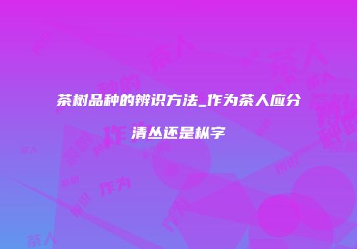 茶树品种的辨识方法_作为茶人应分清丛还是枞字