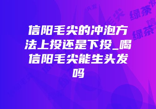 信阳毛尖的冲泡方法上投还是下投_喝信阳毛尖能生头发吗