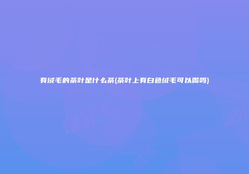 有绒毛的茶叶是什么茶(茶叶上有白色绒毛可以喝吗)