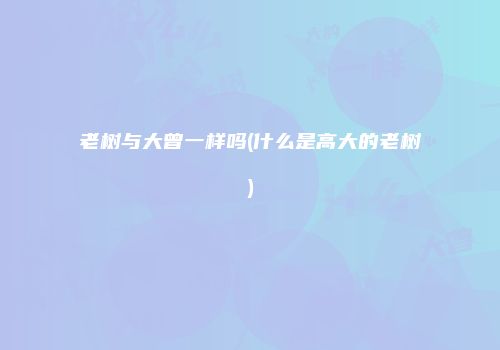 老树与大曾一样吗(什么是高大的老树)