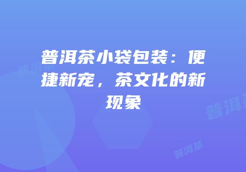 普洱茶小袋包装：便捷新宠，茶文化的新现象