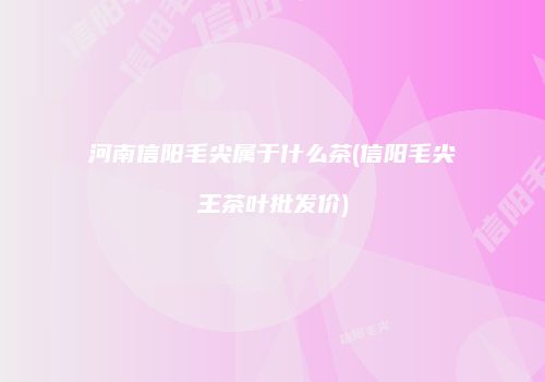 河南信阳毛尖属于什么茶(信阳毛尖王茶叶批发价)