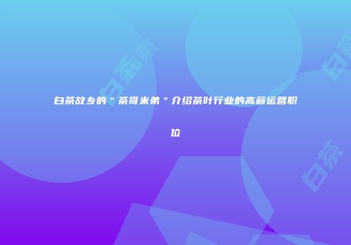 白茶故乡的＂茶哥米弟＂介绍茶叶行业的高薪运营职位