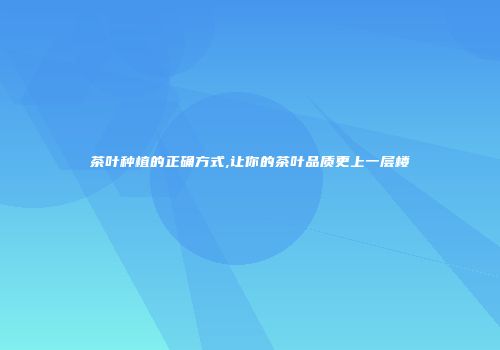 茶叶种植的正确方式,让你的茶叶品质更上一层楼