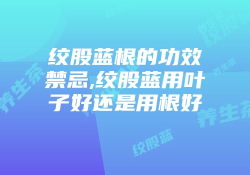 绞股蓝根的功效禁忌,绞股蓝用叶子好还是用根好