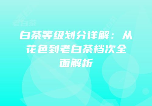 白茶等级划分详解：从花色到老白茶档次全面解析