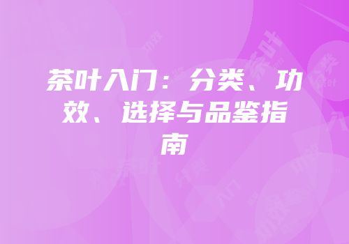 茶叶入门：分类、功效、选择与品鉴指南