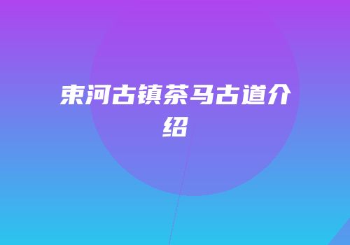 束河古镇茶马古道介绍