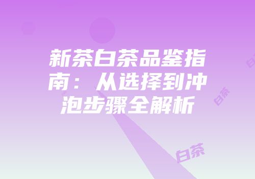 新茶白茶品鉴指南：从选择到冲泡步骤全解析